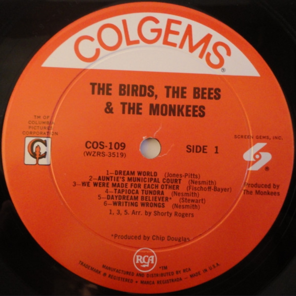 Orange Vinyl Record